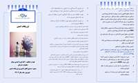 پمفلت تزریقات ایمن